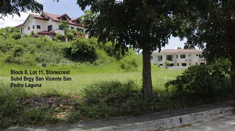 San Vicente, San Pedro, Laguna Lot For Sale .